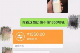 鹿寨为什么选择专业追讨公司来处理您的债务纠纷？